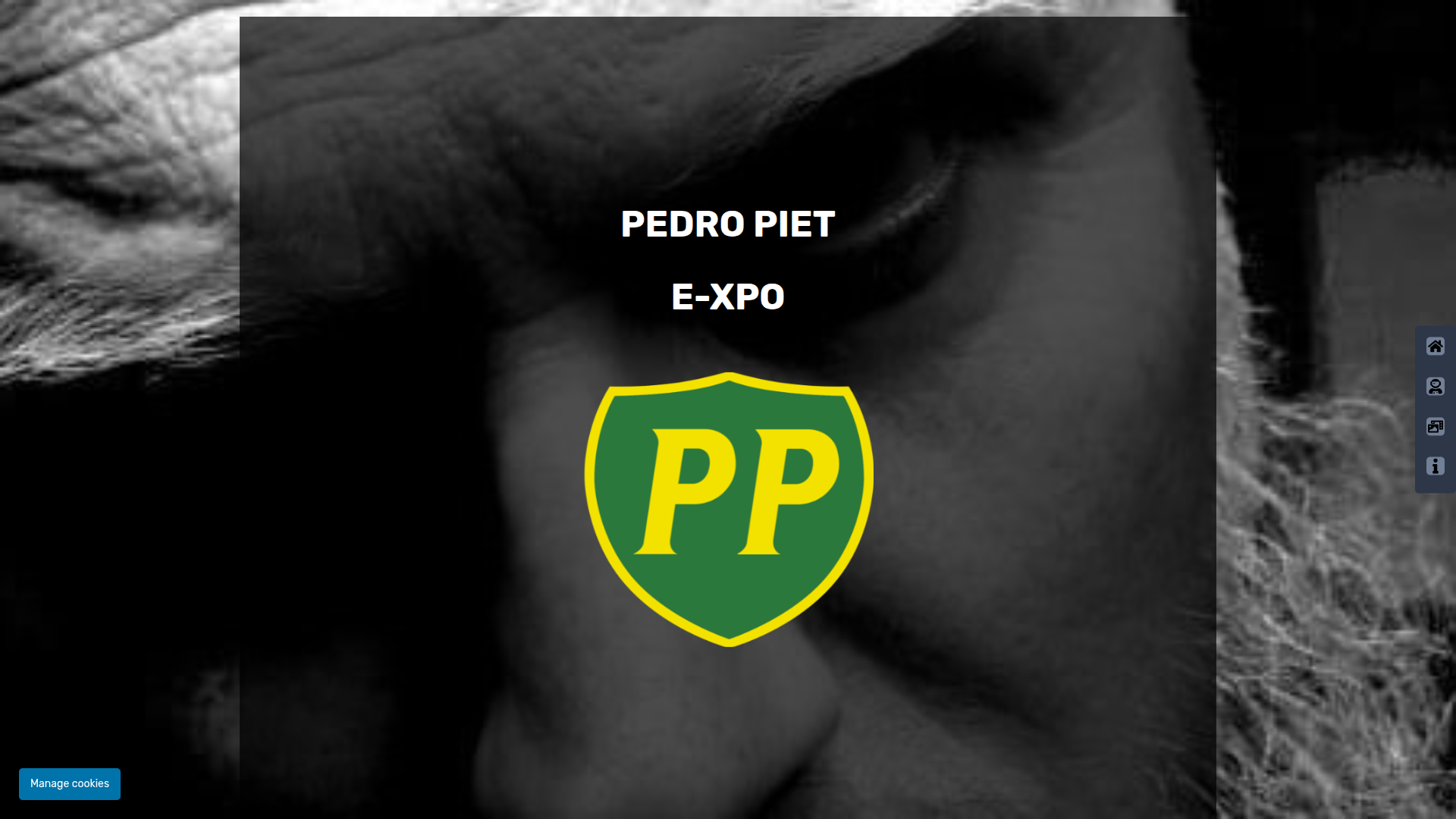 Website kunstenaar Pedro Piet